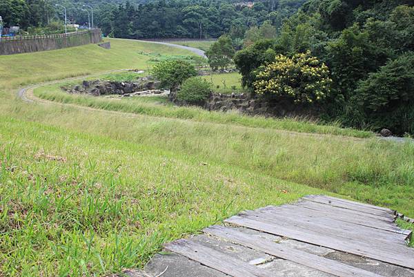 1007鯉魚山、忠勇山登山行 (82)