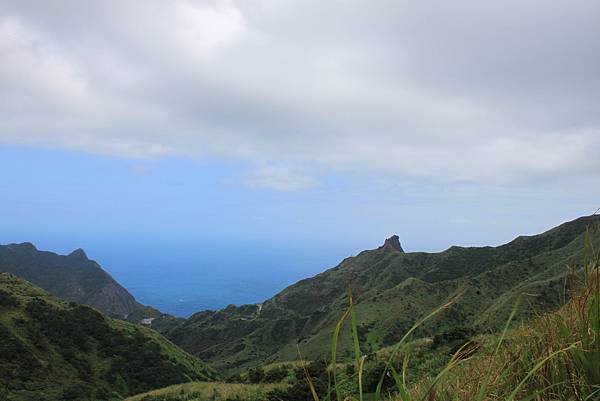 1013往半平山的無耳茶壺登山步道 (7)