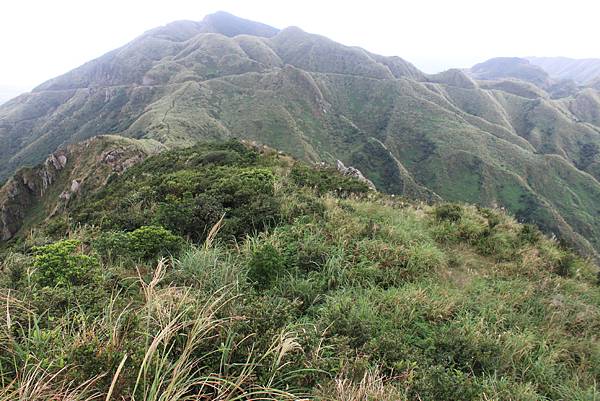 1013往半平山的無耳茶壺登山步道 (48)