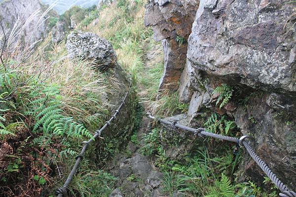 1013往半平山的無耳茶壺登山步道 (54)