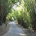 1020石門鄉茶山步道 (12)