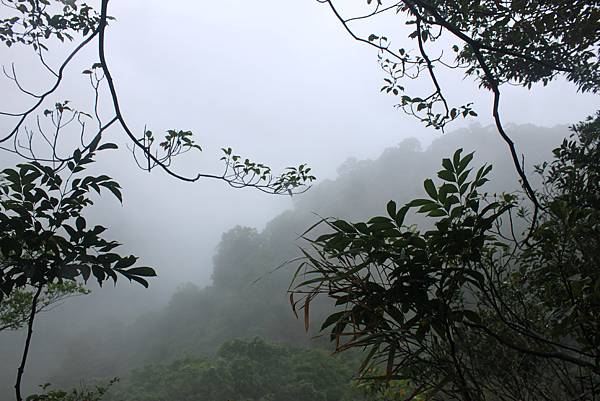 1028黃帝殿東峰 (36)