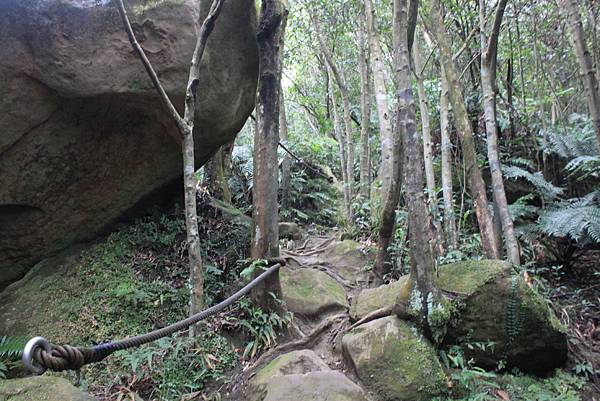 1118汐止市新山夢湖登山 (33)