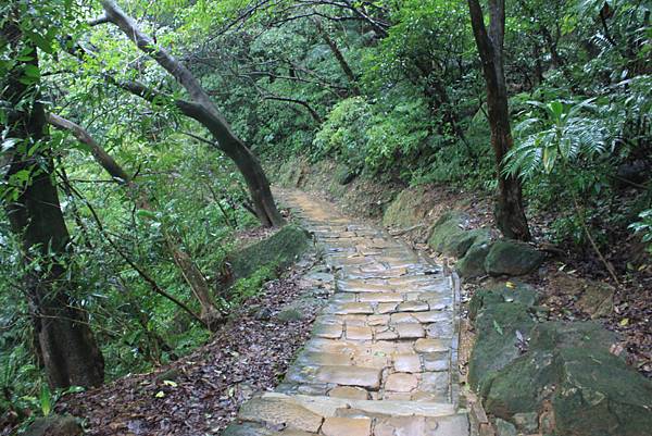 1201南港山縱走親山步道 (47)