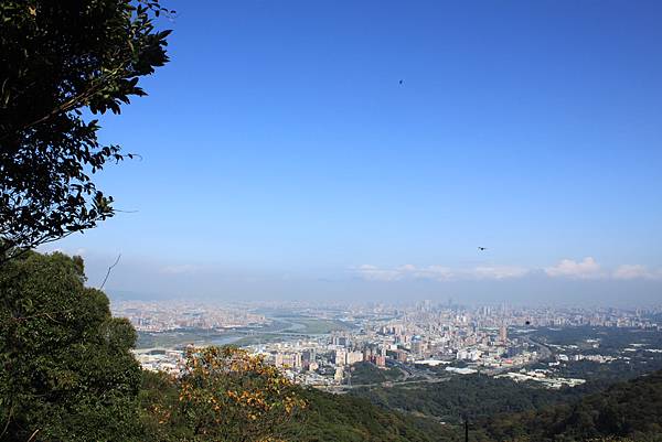 1216土城火焰山大暖尖山縱走 (44)