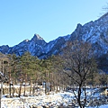 0202韓國雪嶽山國家公園 (16)