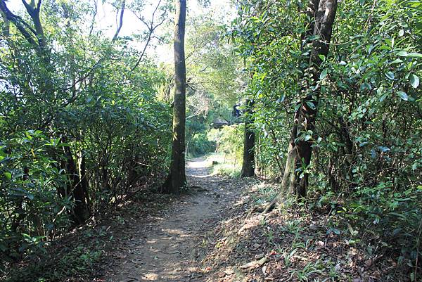 0228登烘爐地福德宮南勢角山 (20)