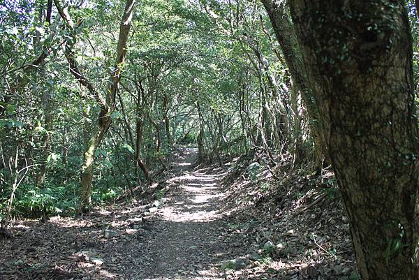 0309宜蘭大溪太和山 (18)