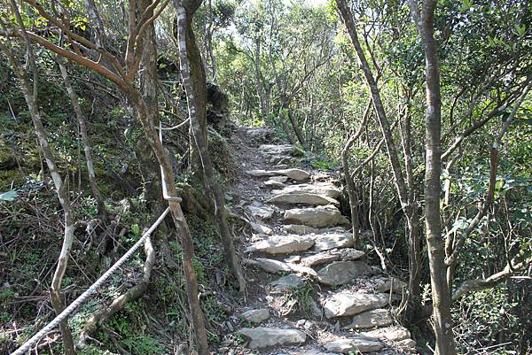 0309宜蘭大溪太和山 (29)