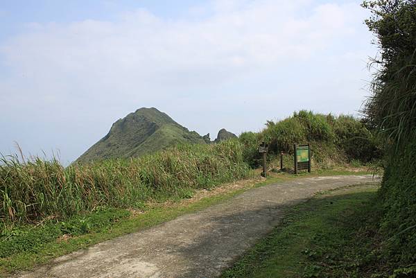 0323半平山濂洞國小 (5)