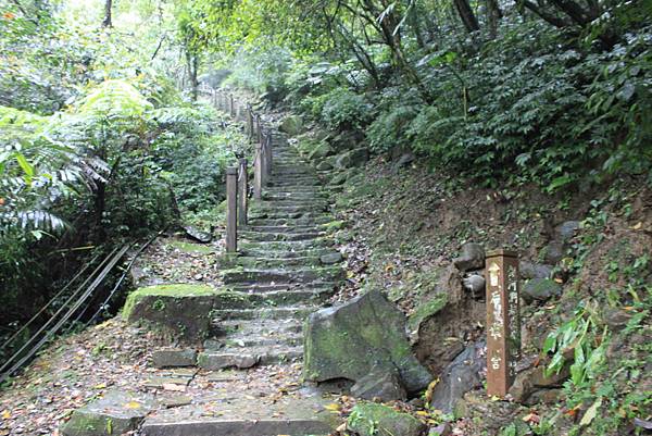 0331銀河洞越嶺至待老坑山 (5)