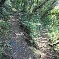 0407觀音山北橫步道 (26)