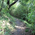 0407觀音山北橫步道 (28)