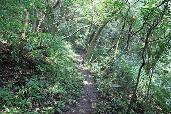 0407觀音山北橫步道 (30)