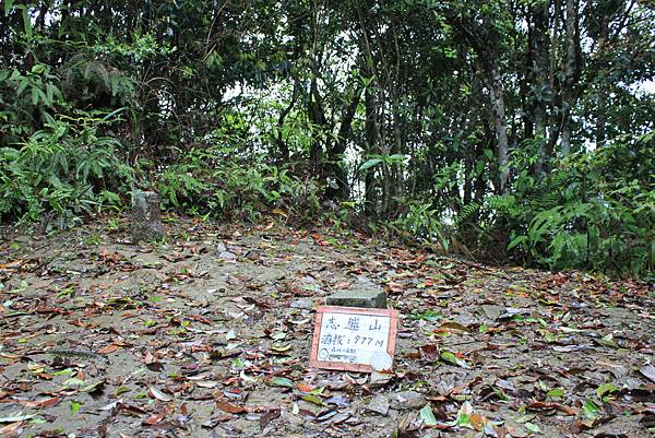 0413志繼山縱走東眼山 (13)