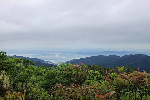 0413志繼山縱走東眼山 (47)