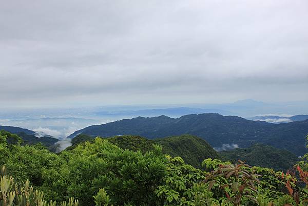 0413志繼山縱走東眼山 (57)