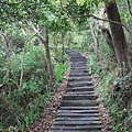 觀音山鷹子尖及占山步道 (9)