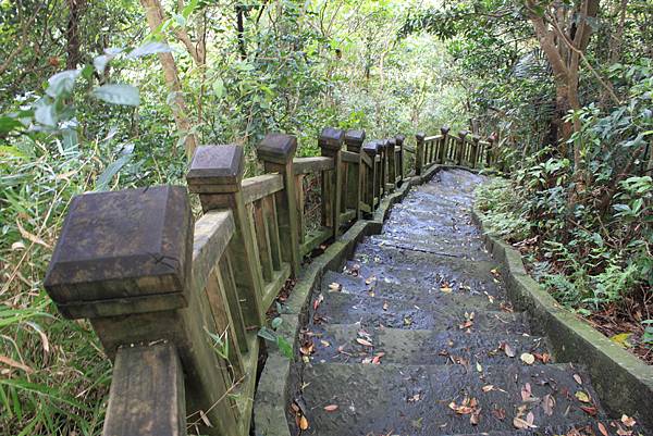 觀音山鷹子尖及占山步道 (21)