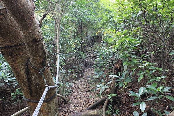 觀音山鷹子尖及占山步道 (39)