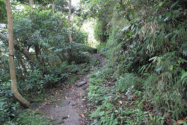 觀音山鷹子尖及占山步道 (42)