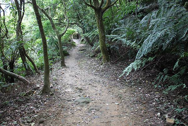 0505士林翠山步道上大崙尾山 (14)