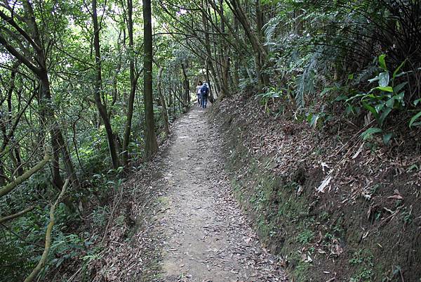 0505士林翠山步道上大崙尾山 (18)