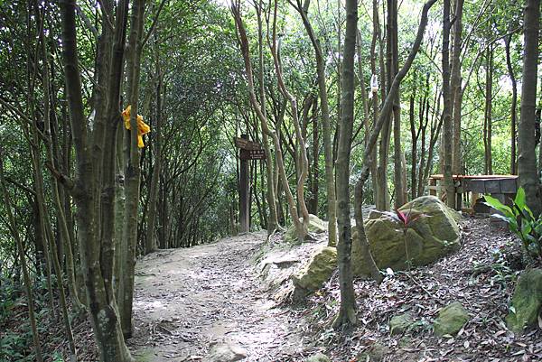 0505士林翠山步道上大崙尾山 (19)