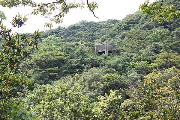 0505士林翠山步道上大崙尾山 (21)