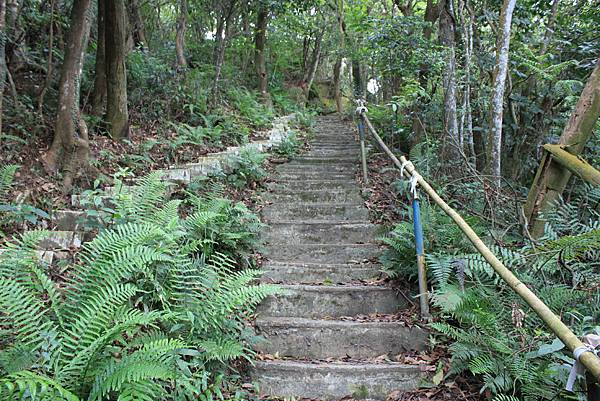 0505士林翠山步道上大崙尾山 (50)