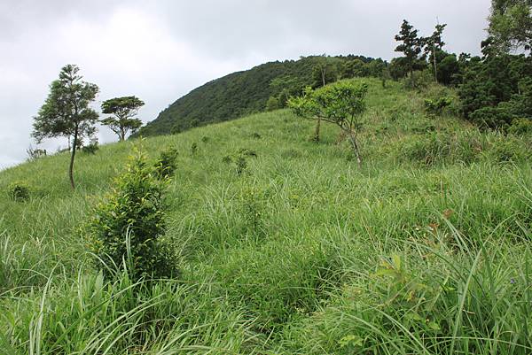 0525宜蘭礁溪鵲子山 (20)