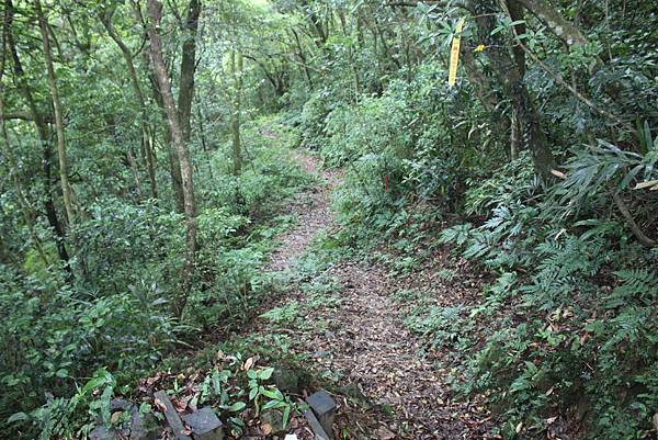 0616坪林胡桶古道東坑山 (33)