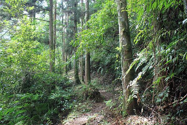 0622福巴越嶺古道 (20)