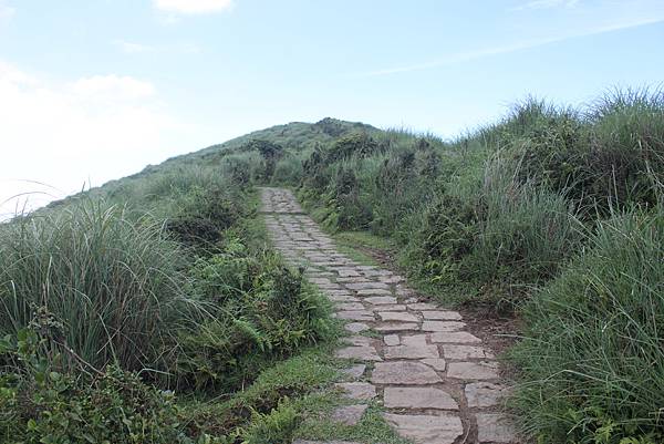 0707涓絲瀑布步道竹高山 (41).JPG