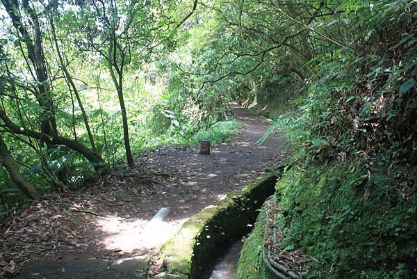 0707涓絲瀑布步道竹高山 (60).JPG