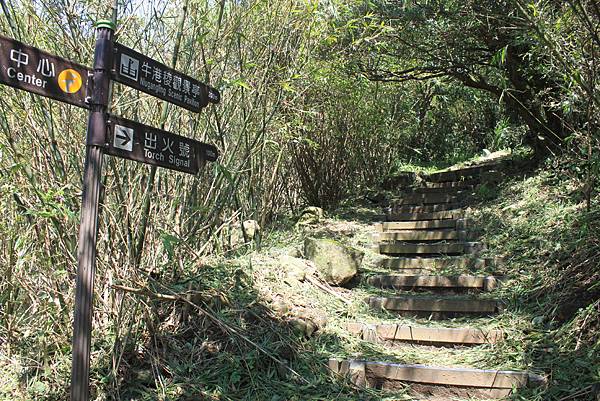 0714觀音山牛港稜登山步道集林梢步道 (14).JPG