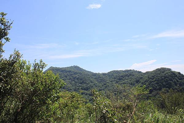 0714觀音山牛港稜登山步道集林梢步道 (18).JPG