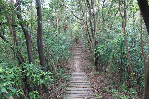 0818內湖內溝山、老鷲尖、翠湖登山步道 (34).JPG