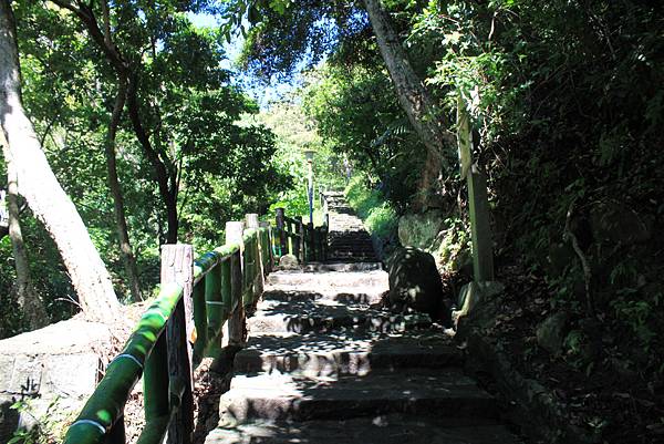 貴子坑親山步道 (12).JPG