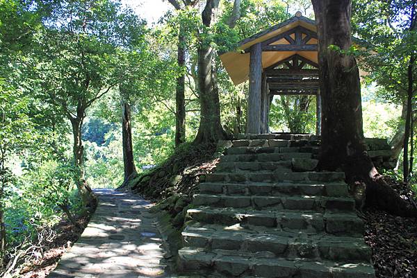 貴子坑親山步道 (17).JPG