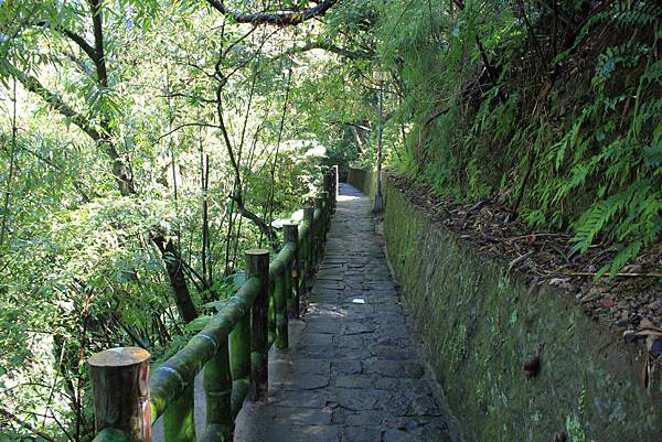 貴子坑親山步道 (25).JPG