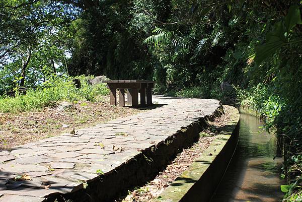 貴子坑親山步道 (31).JPG