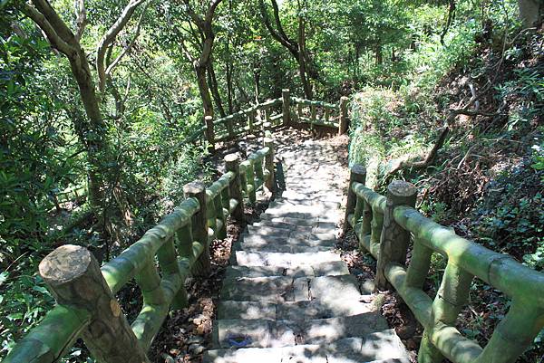 貴子坑親山步道 (35).JPG