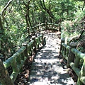 貴子坑親山步道 (35).JPG