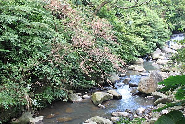 0915é™½å³°å¤é“æ©«å¶ºå¤é“ç¹žä¸€åœˆ (22).JPG