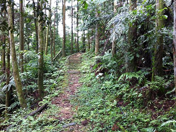 0928å¤§å°¾å±±å±±æ­¥é“ (8).JPG