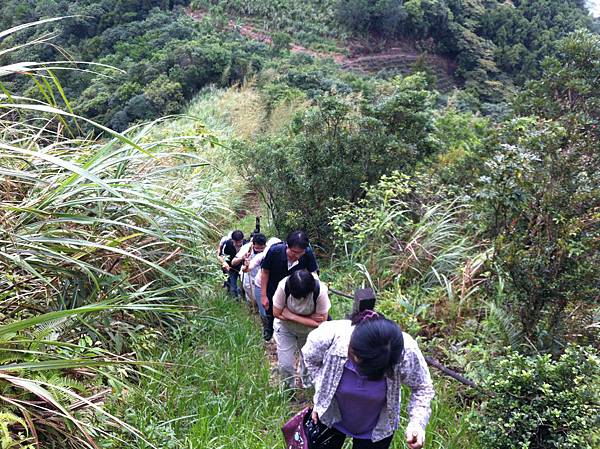 0928å¤§å°¾å±±å±±æ­¥é“ (16).JPG