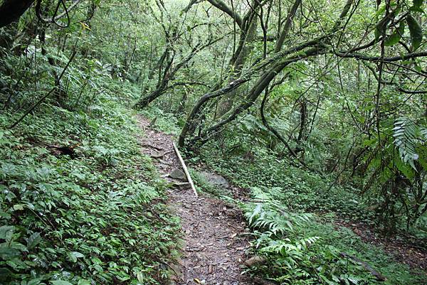 1020å…§å¯®å¤é“-ç‘ªç¤å¤é“ (20).JPG