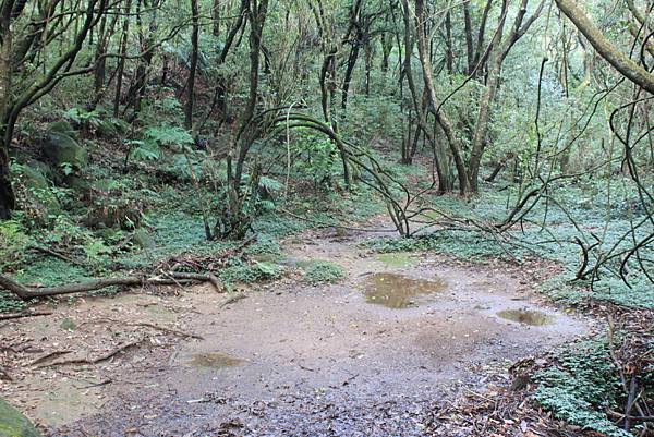 1020å…§å¯®å¤é“-ç‘ªç¤å¤é“ (28).JPG