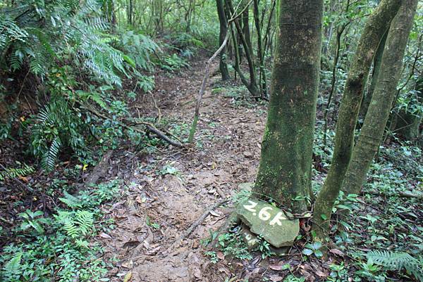 1020å…§å¯®å¤é“-ç‘ªç¤å¤é“ (52).JPG